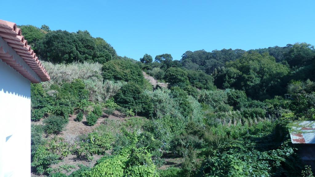 דירות סינטרה Ribeira Dos Marinheiros Azul מראה חיצוני תמונה